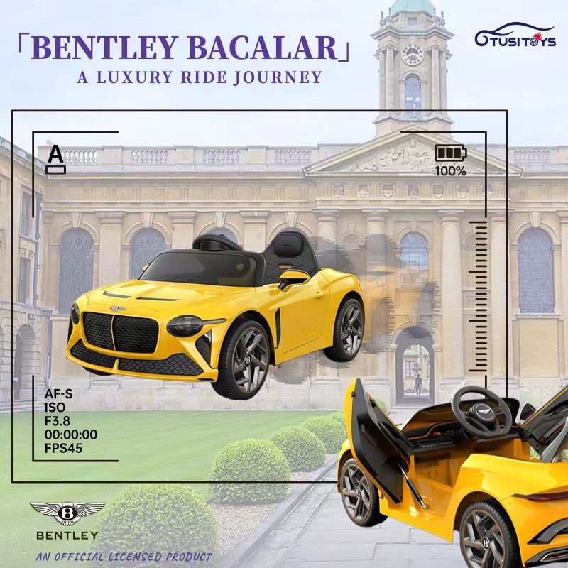 Nouveau modèle sous licence Beetle !!!