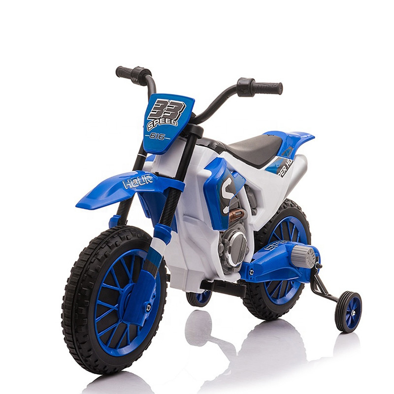 24V Electric Dirt bike with 250W Brushless