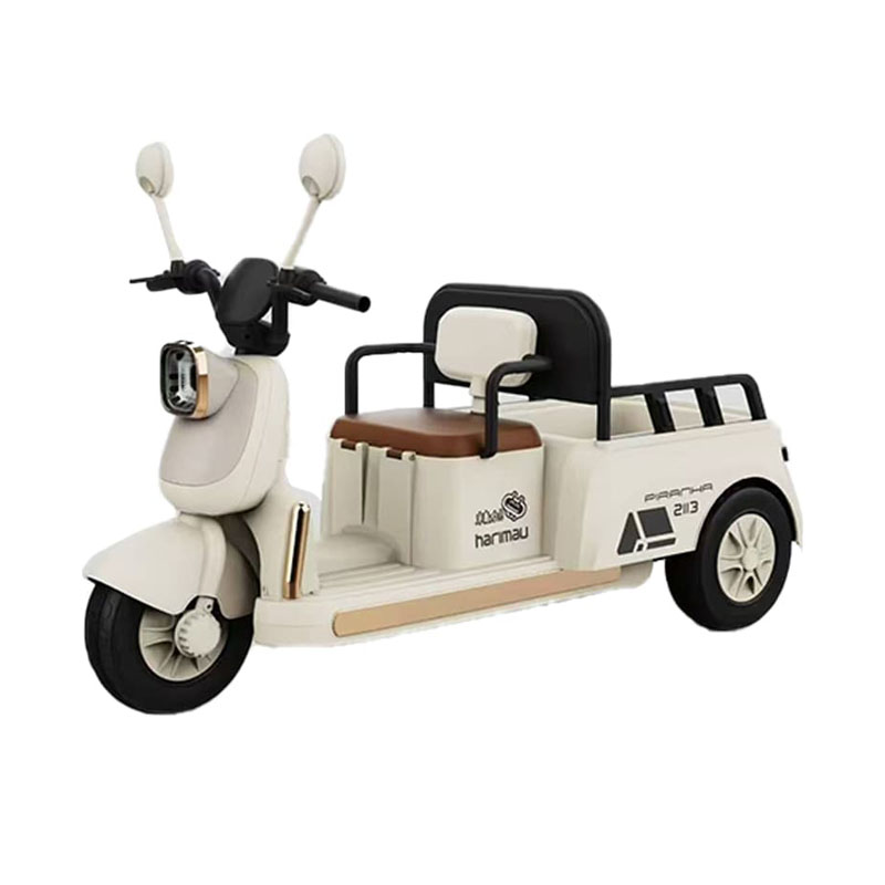 Tricycle électrique pour enfants avec plusieurs configurations disponibles